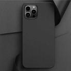 For iPhone 14 Pro Plain Skin Leather Phone Case(Black) - 1