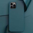 For iPhone 14 Pro Plain Skin Leather Phone Case(Cyan) - 1