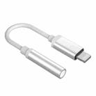 CVJ CM1 8 Pin Male to 3.5mm Female Earphone Audio Adapter(Silver) - 1