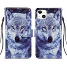 For iPhone 14 Plus Painted Pattern Leather Phone Case (White Wolf) - 1