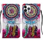 For iPhone 14 Pro Painted Pattern Leather Phone Case(Dreamcatcher) - 1