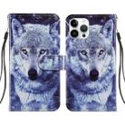 For iPhone 14 Pro Max Painted Pattern Leather Phone Case (White Wolf) - 1