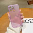 For iPhone 14 Pro Frosted PP Phone Case(Purple) - 1