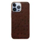 For iPhone 13 Pro Genuine Leather Ostrich Texture Nano Case (Coffee) - 1