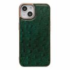 For iPhone 14 Plus Genuine Leather Ostrich Texture Nano Case (Green) - 1