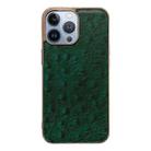 For iPhone 14 Pro Max Genuine Leather Ostrich Texture Nano Case (Green) - 1