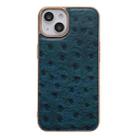 For iPhone 14 Genuine Leather Ostrich Texture Nano Case (Blue) - 1