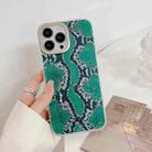 For iPhone 14 Pro Snake Texture Dual-side Laminating TPU Phone Case(Green) - 1