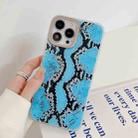 Snake Texture Dual-side Laminating TPU Phone Case For iPhone 14 Pro Max(Blue) - 1