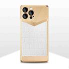 For iPhone 12 Crocodile Texture Electroplate Leather Phone Case(Gold+White) - 1