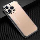 For iPhone 14 Pro Max Light and Shadow Series Frosted Metal Phone Case (Gold) - 1