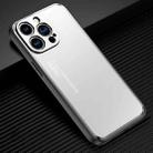 For iPhone 14 Pro Max Light and Shadow Series Frosted Metal Phone Case (Silver) - 1