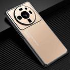 For Xiaomi 12S Ultra Light and Shadow Series Frosted Metal Phone Case(Gold) - 1