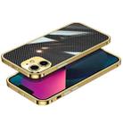 For iPhone 12 Carbon Brazed Stainless Steel Ultra Thin Protective Phone Case(Gold) - 1