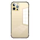 For iPhone 12 Pro Stainless Steel+TPU Metal Transparent Phone Case(Gold) - 1