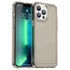 For iPhone 12 Pro Candy Series TPU Phone Case(Transparent Grey) - 1