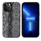 For iPhone 13 Pro Max Leather Back Phone Case (Snakeskin Print) - 1