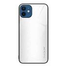 For iPhone 12 / 12 Pro Texture Gradient Glass TPU Phone Case(White) - 1