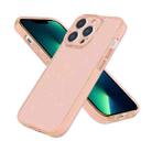 For iPhone 13 Pro Max Fine Hole Phone Case (Shining Gold) - 1