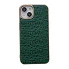 For iPhone 13 Sky Series Nano Electroplating Genuine Leather Phone Case(Green) - 1