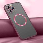 For iPhone 11 Pro Max Skin Feel MagSafe Magnetic Case (Red) - 1