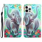 For iPhone 14 Pro Colored Drawing Leather Phone Case(Elephant) - 1