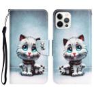 For iPhone 14 Pro Colored Drawing Leather Phone Case(Blue Eyes) - 1