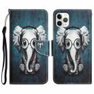 For iPhone 11 Pro Colored Drawing Leather Phone Case(Earphone Elephant) - 1