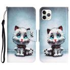 For iPhone 11 Pro Colored Drawing Leather Phone Case(Blue Eyes) - 1