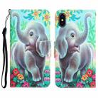 For iPhone XS Max Colored Drawing Leather Phone Case(Elephant) - 1