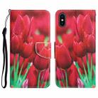 For iPhone XS Max Colored Drawing Leather Phone Case(Tulips) - 1