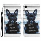 For iPhone XR Colored Drawing Leather Phone Case(Black Dog) - 1