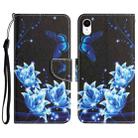For iPhone XR Colored Drawing Leather Phone Case(Blue Butterfly) - 1