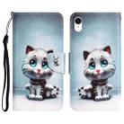 For iPhone XR Colored Drawing Leather Phone Case(Blue Eyes) - 1