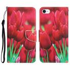 Colored Drawing Leather Phone Case For iPhone 7 / 8(Tulips) - 1