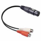 3714 3pin XLR Female to 2 x RCA Female Audio Cable, Length: 20cm - 1