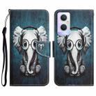 For OPPO A96 5G Colored Drawing Leather Phone Case(Earphone Elephant) - 1