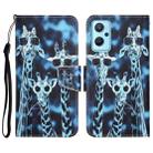 For Realme 9i / OPPO A96 4G Colored Drawing Leather Phone Case(Giraffes) - 1