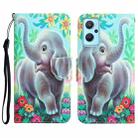 For Realme 9i / OPPO A96 4G Colored Drawing Leather Phone Case(Elephant) - 1