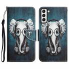 For Samsung Galaxy S21 5G Colored Drawing Leather Phone Case(Earphone Elephant) - 1