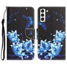 For Samsung Galaxy S21 5G Colored Drawing Leather Phone Case(Blue Butterfly) - 1