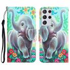 For Samsung Galaxy S21 Ultra 5G Colored Drawing Leather Phone Case(Elephant) - 1