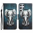 For Samsung Galaxy S22 Ultra 5G Colored Drawing Leather Phone Case(Earphone Elephant) - 1