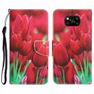 For Xiaomi Poco X3 NFC Colored Drawing Leather Phone Case(Tulips) - 1