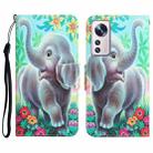 For Xiaomi 12 Lite Colored Drawing Leather Phone Case(Elephant) - 1