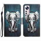 For Xiaomi 12 Lite Colored Drawing Leather Phone Case(Earphone Elephant) - 1