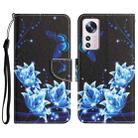 For Xiaomi 12 Lite Colored Drawing Leather Phone Case(Blue Butterfly) - 1