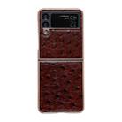 For Samsung Galaxy Z Flip4 5G Genuine Leather Ostrich Texture Nano Electroplating Phone Case(Coffee) - 1