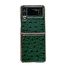 For Samsung Galaxy Z Flip4 5G Genuine Leather Ostrich Texture Nano Electroplating Phone Case(Green) - 1
