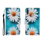 For OPPO A11 Colored Drawing Horizontal Flip Leather Case with Holder & Card Slot & Wallet(Chrysanthemum) - 1